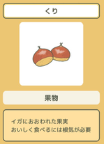 Kuri